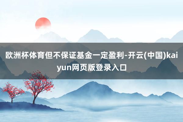 欧洲杯体育但不保证基金一定盈利-开云(中国)kaiyun网页版登录入口