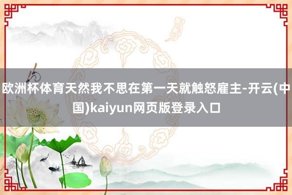 欧洲杯体育天然我不思在第一天就触怒雇主-开云(中国)kaiyun网页版登录入口