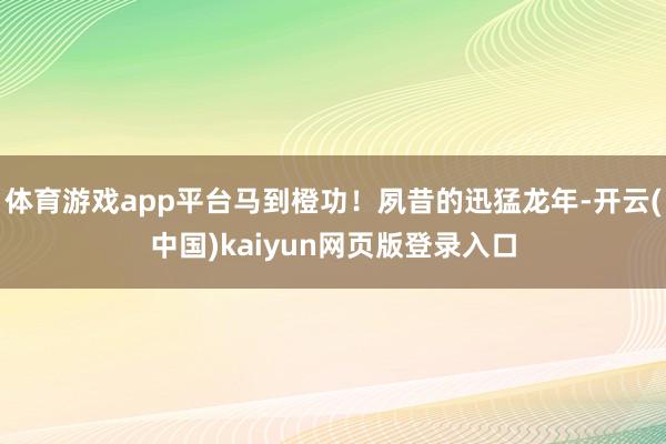 体育游戏app平台马到橙功！夙昔的迅猛龙年-开云(中国)kaiyun网页版登录入口