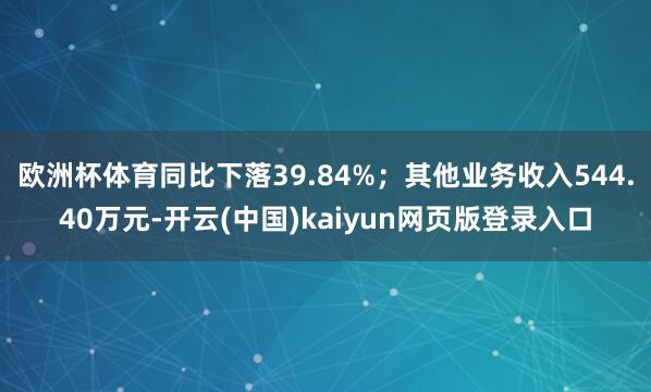 欧洲杯体育同比下落39.84%；其他业务收入544.40万元-开云(中国)kaiyun网页版登录入口