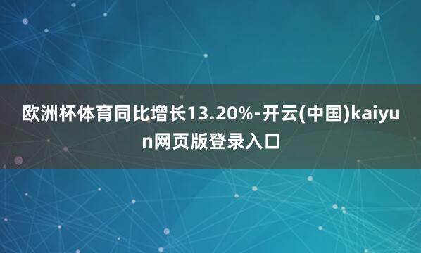 欧洲杯体育同比增长13.20%-开云(中国)kaiyun网页版登录入口