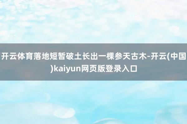 开云体育落地短暂破土长出一棵参天古木-开云(中国)kaiyun网页版登录入口