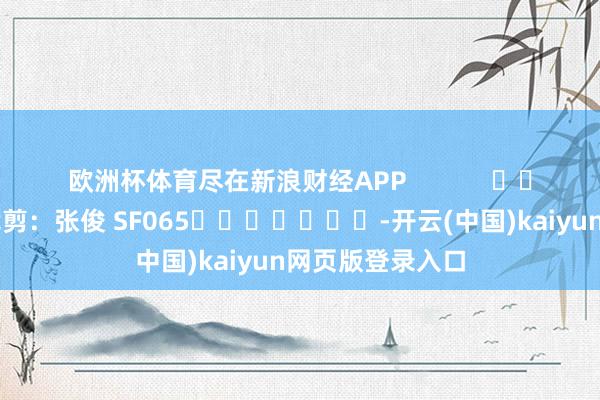 欧洲杯体育尽在新浪财经APP            						职守裁剪：张俊 SF065							-开云(中国)kaiyun网页版登录入口